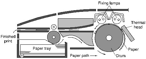 Thermo-Autochrome printer mechanism